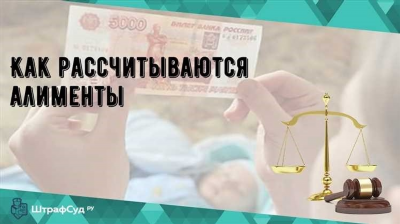 Договоритесь о главных принципах построения семейного бюджета