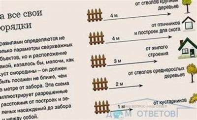 Высота забора между соседями: закон и правила в 2024 году